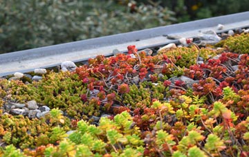 the cost of Merridale green roof installation