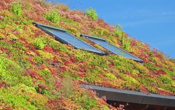 Merridale living roof systems
