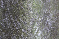 Merridale fibreglass roof work